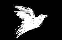 logo Birdman Of Alkatrash
